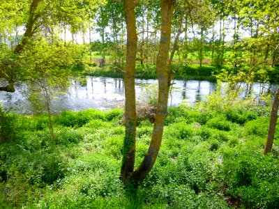 Víllodas - Río Zadorra 2