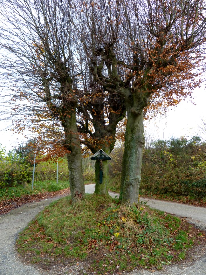 Vaals-Wegkruis bij Camerig 7