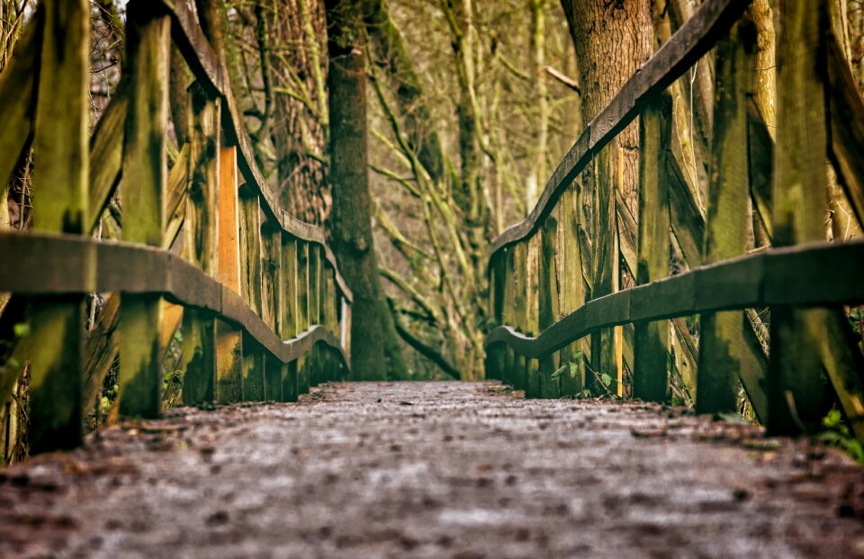 Railing forest hiking
