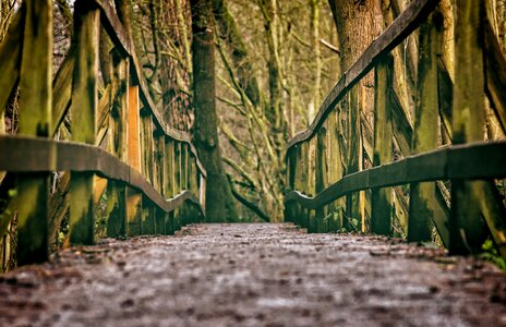 Railing forest hiking photo