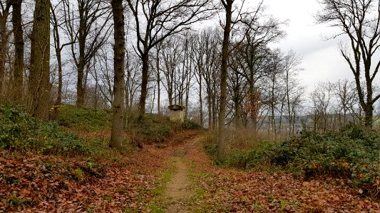 Valkenburg-Polferbos (12)