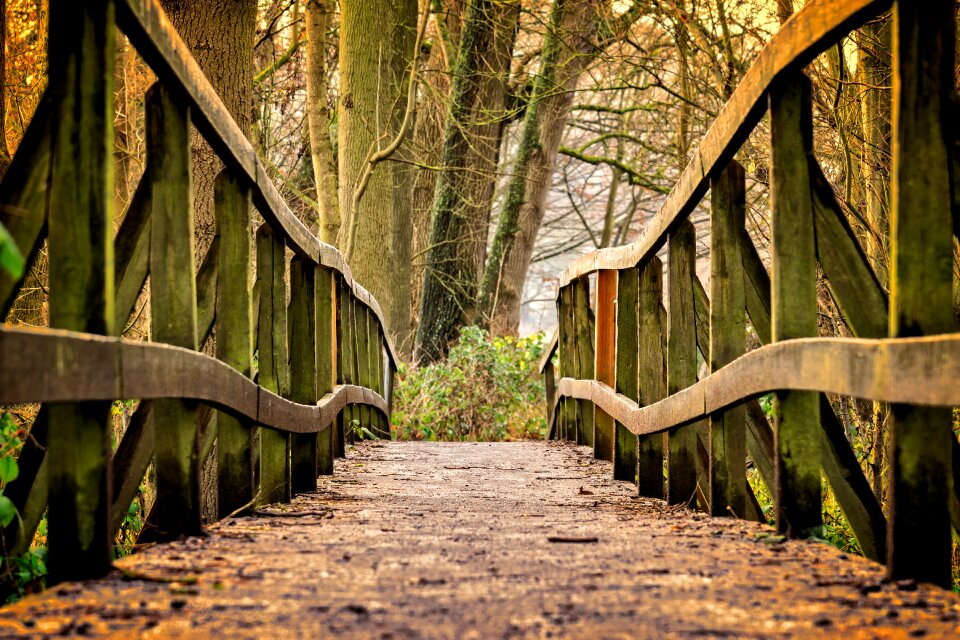 Nature railing pedestrian bridge photo