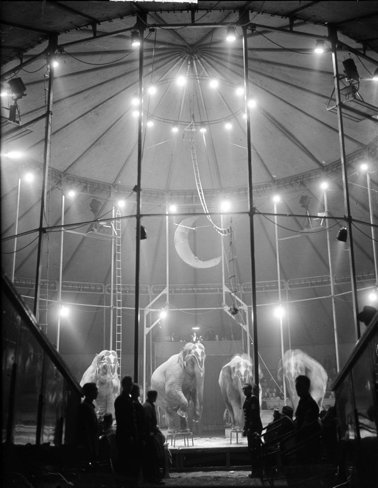 Verlichting interieur Circus Mikkenie, Bestanddeelnr 903-0656
