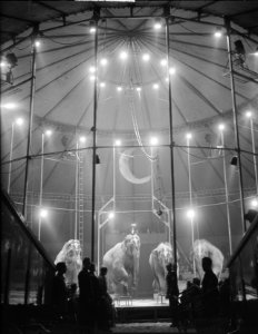 Verlichting interieur Circus Mikkenie, Bestanddeelnr 903-0656