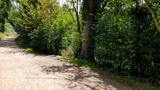 Valkenburg-Sint-Jansbron (4)