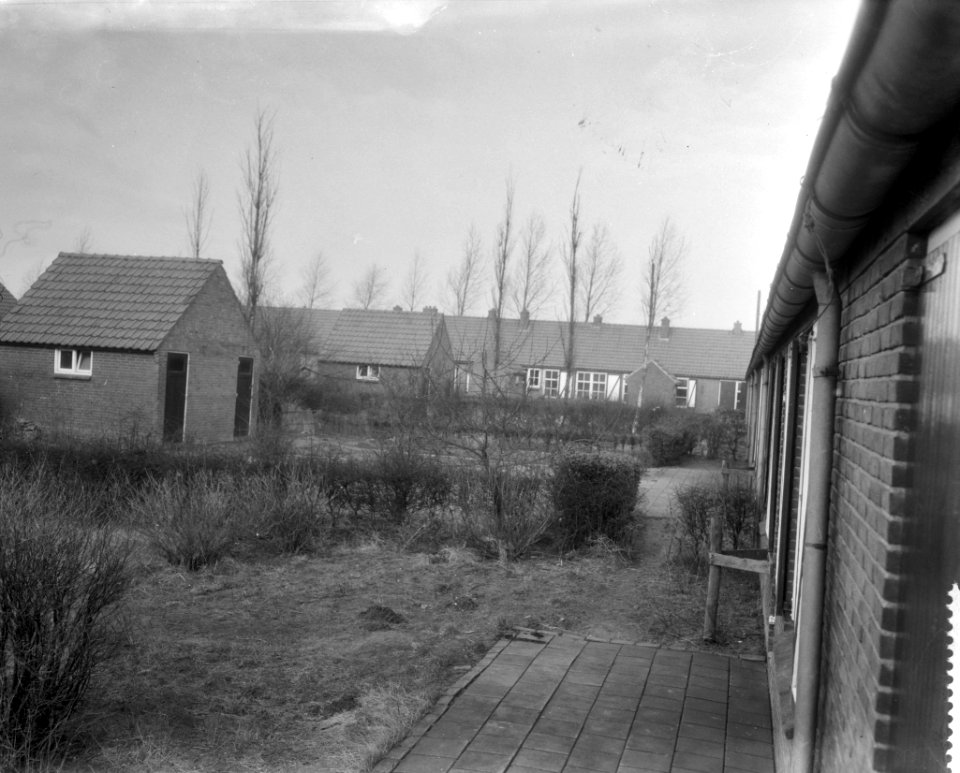 Verlaten dorp Kuinderburg in de Noordoostpolder, Bestanddeelnr 910-1727