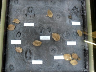 Výlet na Klet - 28 srpna 2009 85