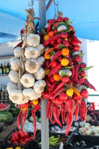 Vegetables market vegetable market photo