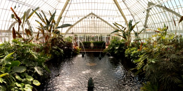 Victoria Room, Phipps Conservatory, 2015-03-30