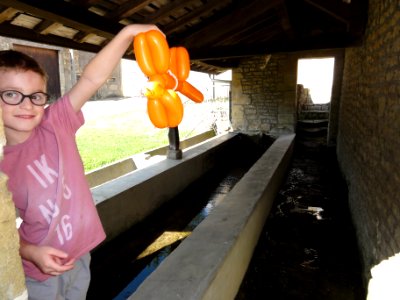 Ville-au-Montois (Meurthe-et-M.) lavoir B (02)
