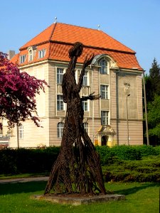 VI LO Bydgoszcz d