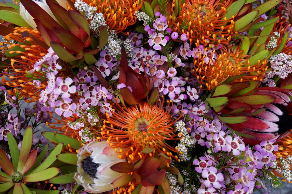 Flora decoration romantic