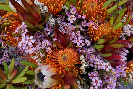 Flora decoration romantic