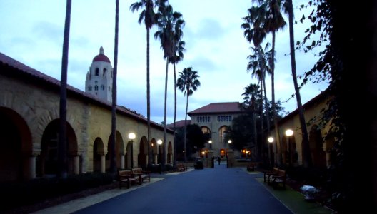 View of buildings and palm trees at Stanford University photo