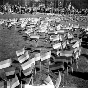 Verjaardag Koningin Juliana, Bestanddeelnr 903-9384