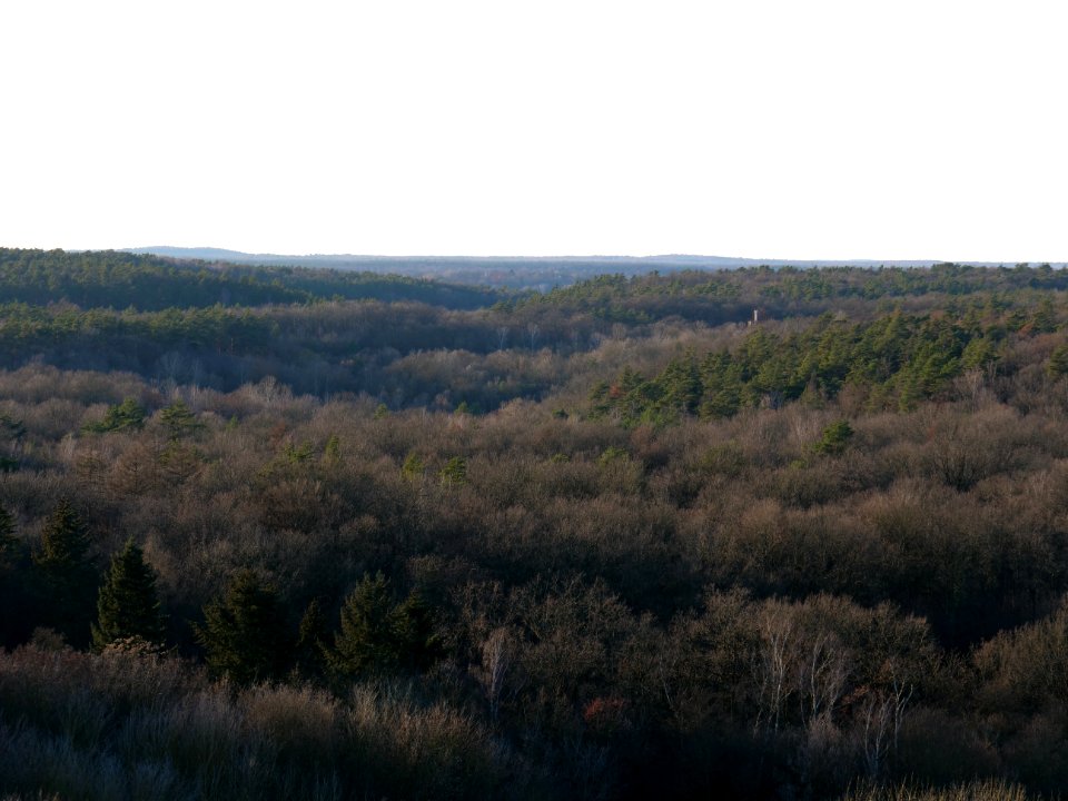 View from Drachenberg on 2019-12-18 33