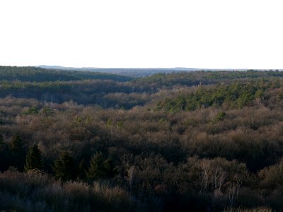 View from Drachenberg on 2019-12-18 33
