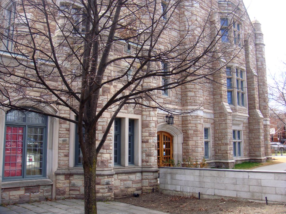 Victoria Hall and greenhouse in May 2015 - 23