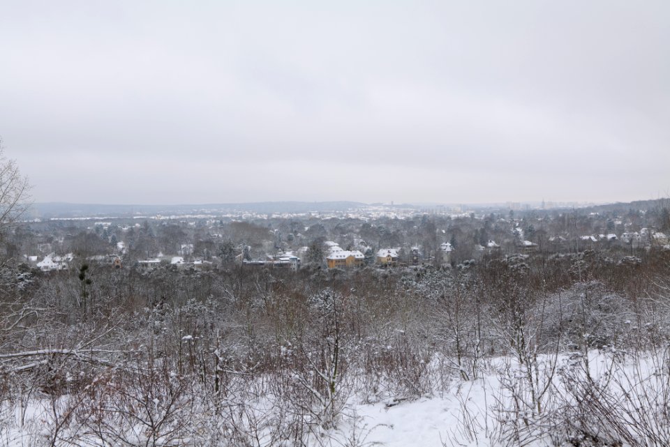 View from Deponie Wannsee with snow 2021-01-30 13