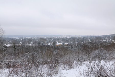 View from Deponie Wannsee with snow 2021-01-30 13