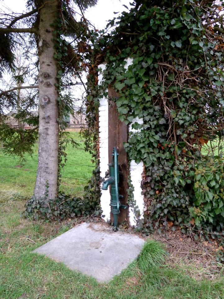 Vijlen-Waterpomp Harles