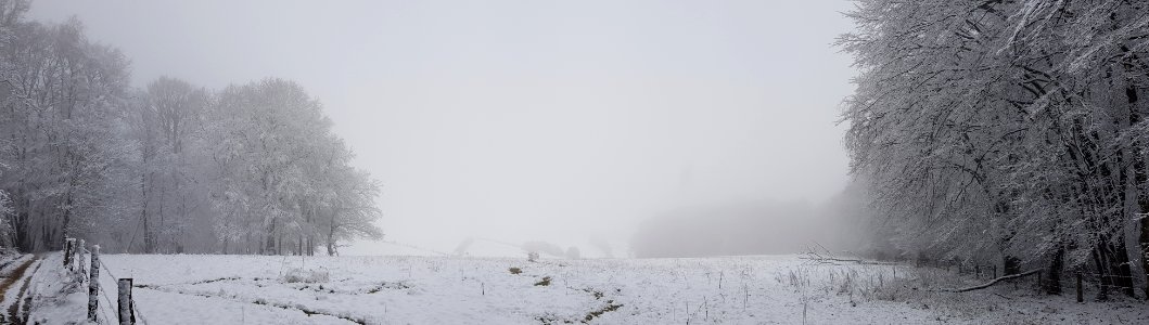 Vijlen-sneeuwlandschap Vijlenerbos (73)