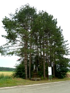 Villers-le-Bouillet-Tumulus van Oultremont (2)