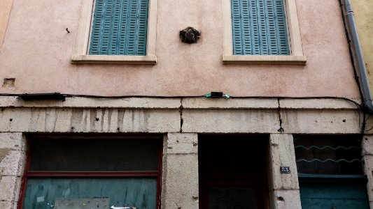 Vienne - Rue de Bourgogne - Ange au numéro 53