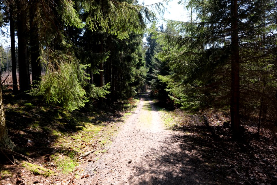 View from Limes trail Taunus Wehrheim 2021-04-02 21