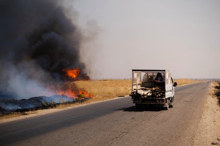 Views of the field fires in Sinjar in summer of 2019, and their aftermath 35
