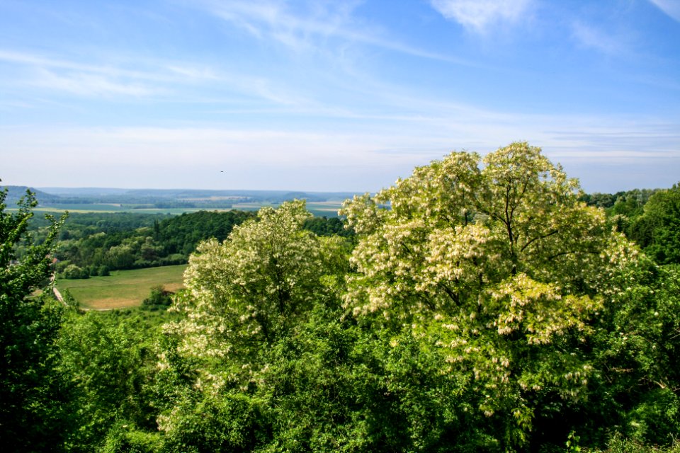 View from Laon hill 2007-05-06-02