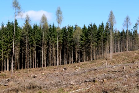 View from Limes trail Taunus Ockstadt 2021-04-02 05