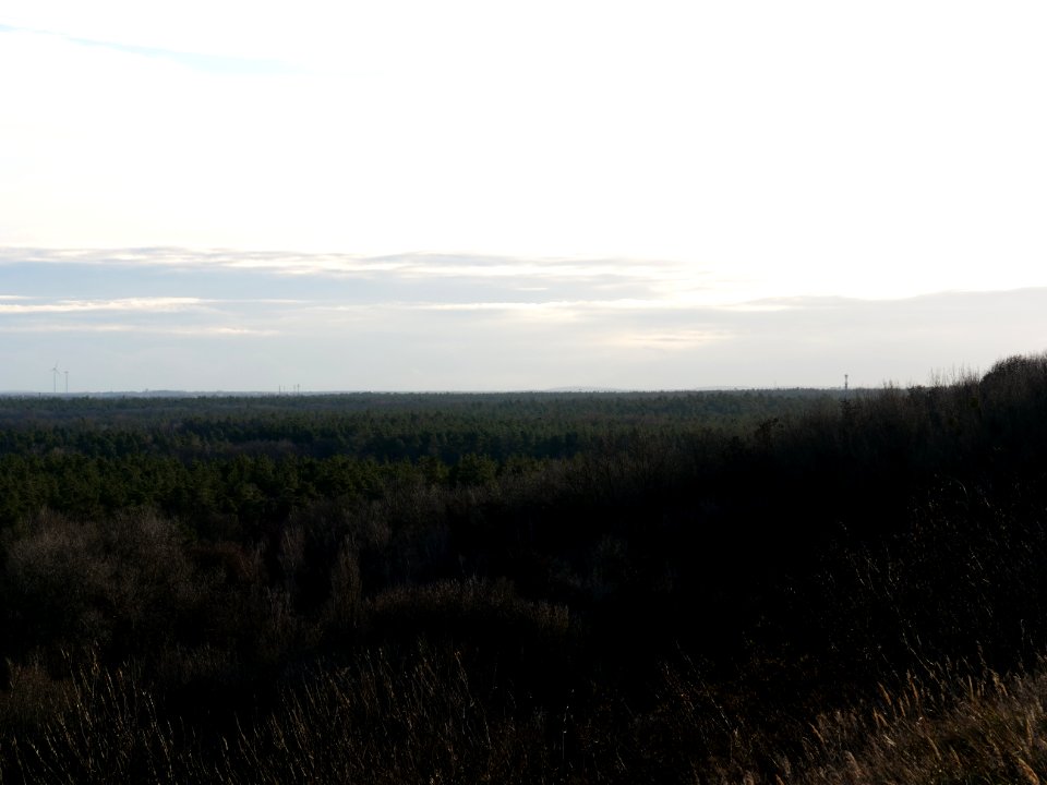 View from Drachenberg on 2019-12-18 12