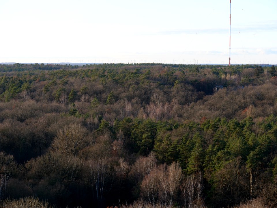 View from Drachenberg on 2019-12-18 37