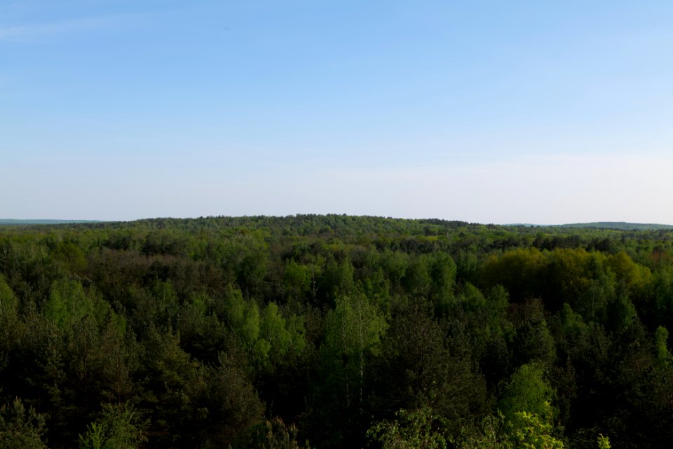 View from Döberitzer Heide Finkenberg observation tower 2020-05-08 32