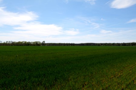 Wehrdamm Mellensee Kleiner Wünsdorfer See 2021-05-09 112