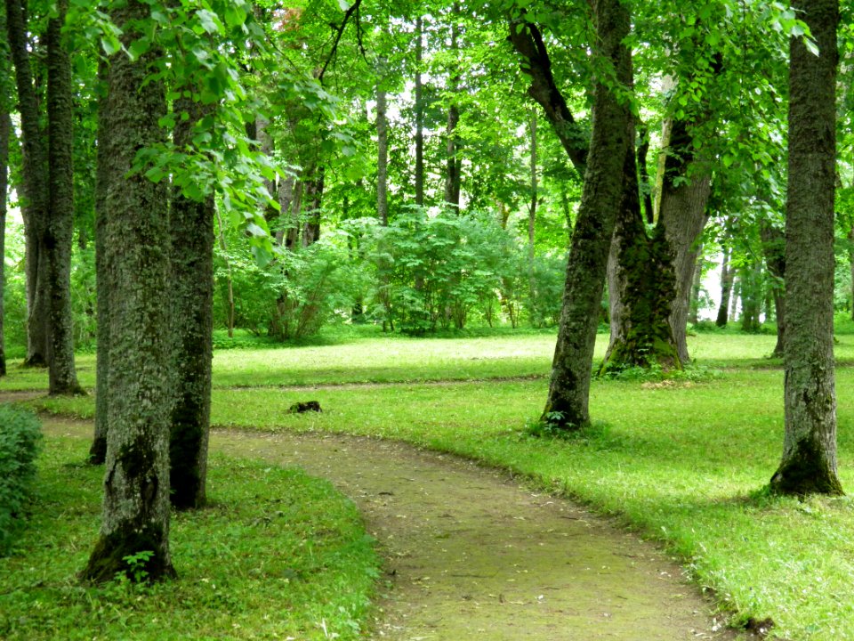 Vigantes parks