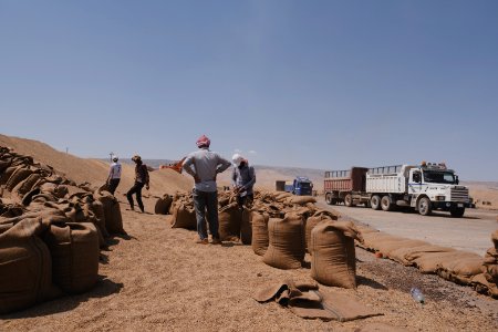 Views of the governmental grain depot in summer of 2019 in Shingal where Ezidi laborers are packing grain 03