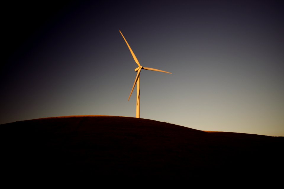 Views of windmills and pasture around Altamont Pass Wind Farm 04