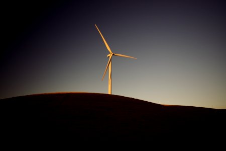 Views of windmills and pasture around Altamont Pass Wind Farm 04