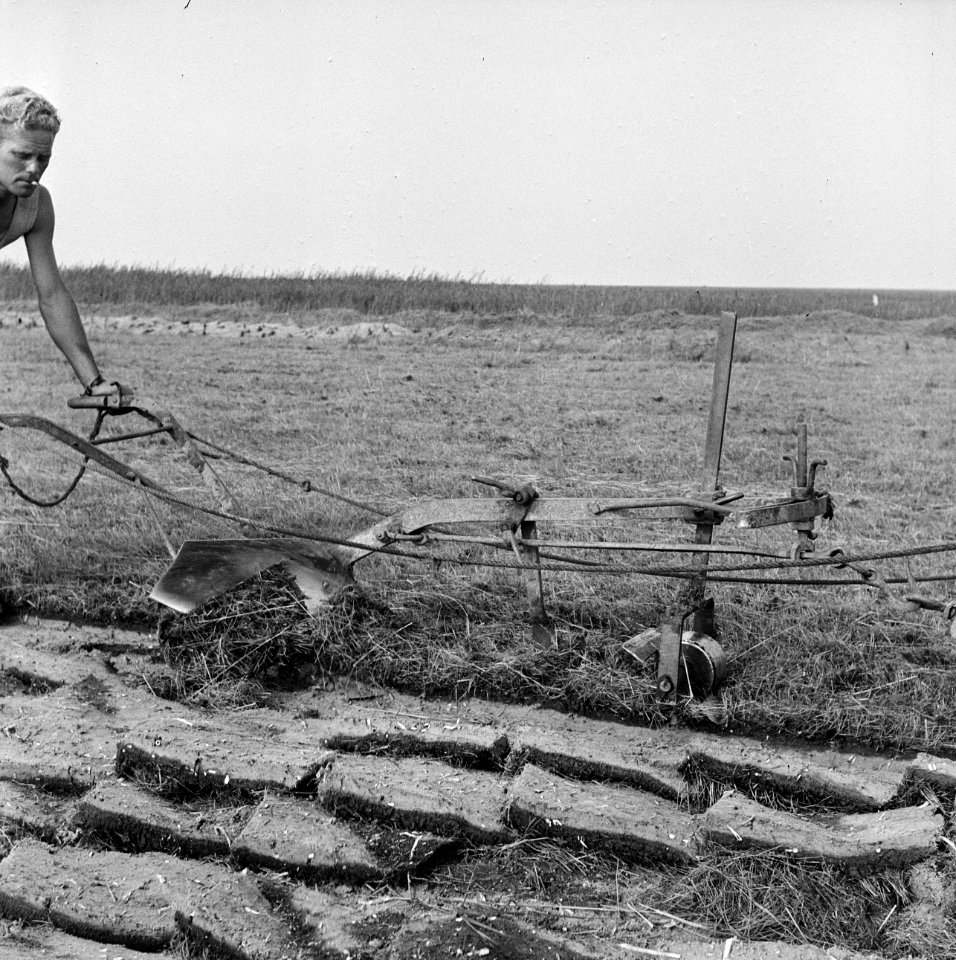 Werktuigen, grondbewerking, ploegen, Bestanddeelnr 251-3209