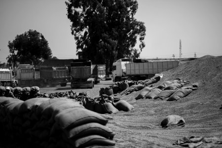 Views of the government depot in summer of 2019 where grain was received and processed in Shingal, known also as Sinjar 13