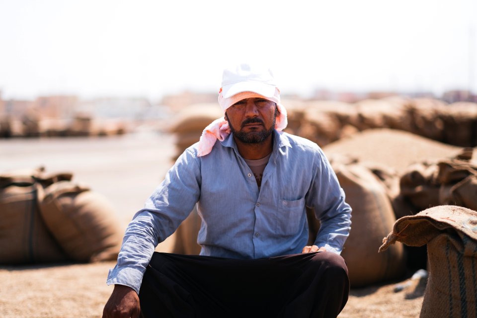 Views of the government depot in summer of 2019 where grain was received and processed in Shingal, known also as Sinjar 21