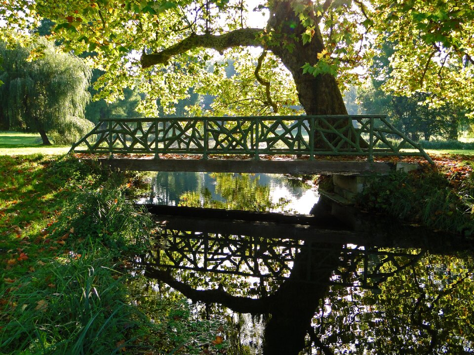 Nature river light reflections