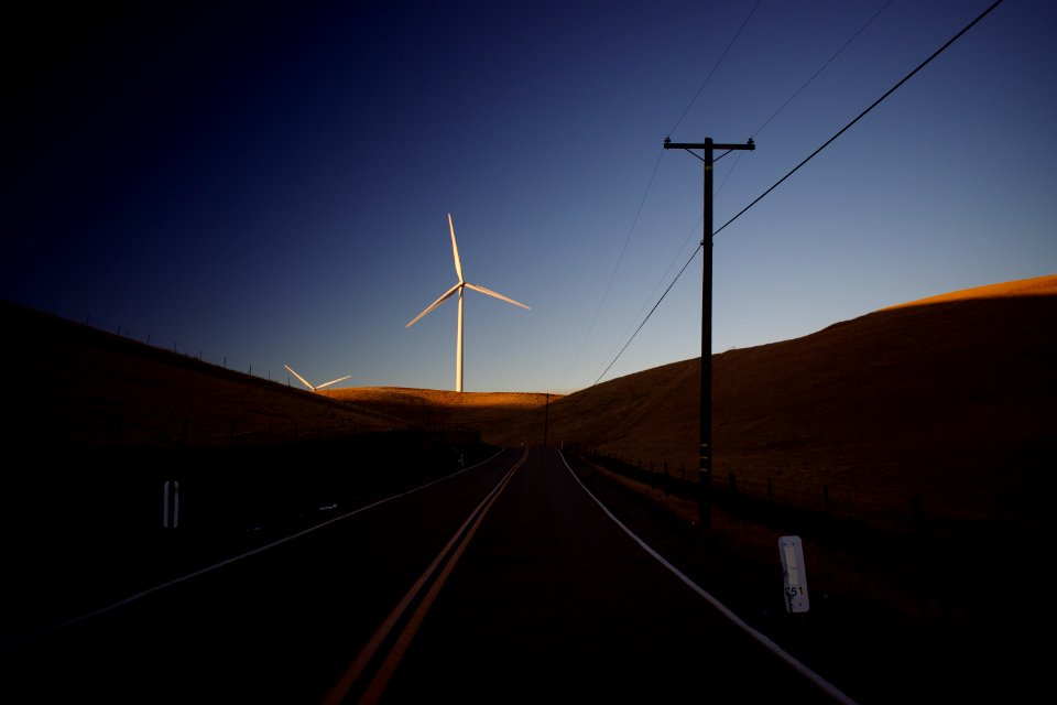 Views of windmills and pasture around Altamont Pass Wind Farm 02