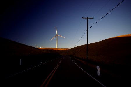 Views of windmills and pasture around Altamont Pass Wind Farm 02