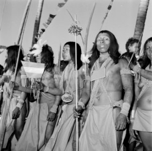 Wajana-indianen in Albina, Bestanddeelnr 252-4479