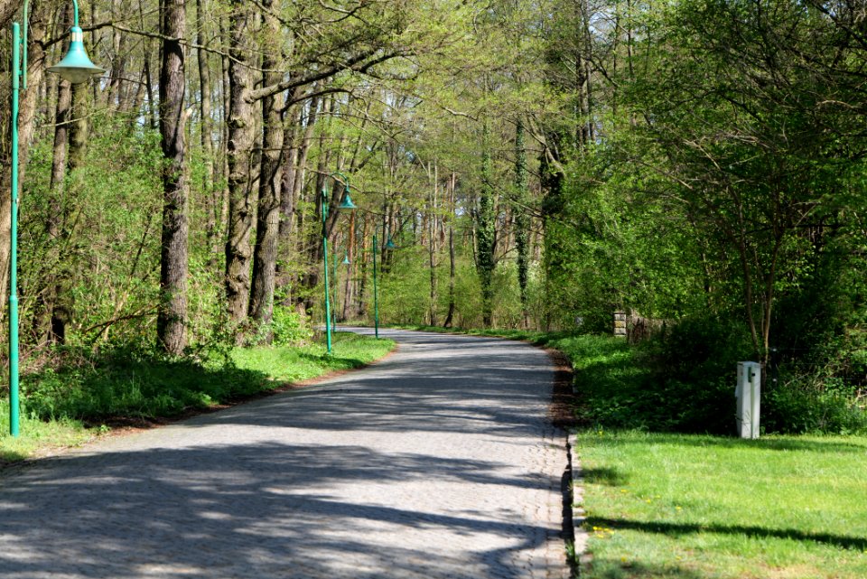 Wünsdorfer Seestraße Wünsdorf 2021-05-09 02
