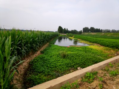 Weizi River 04