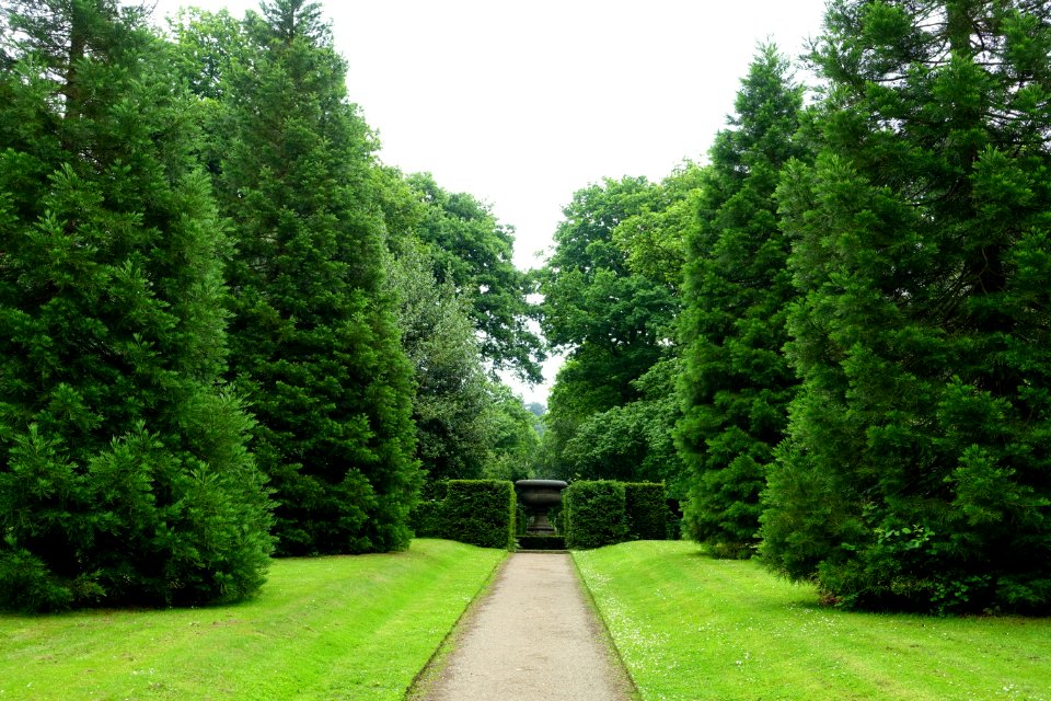 Wellingtonia Avenue - Biddulph Grange Garden - Staffordshire, England - DSC09225